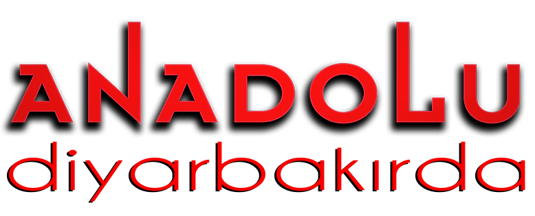 Anadolu Sanat Diyarbakırda