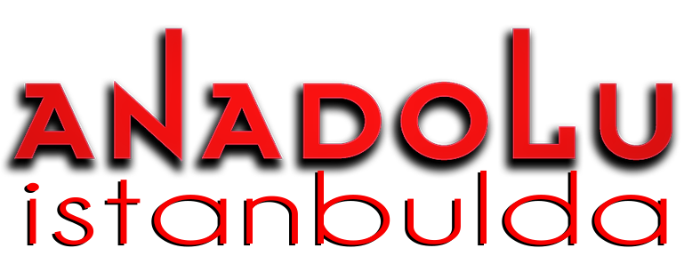 Anadolu Sanat İstanbulda
